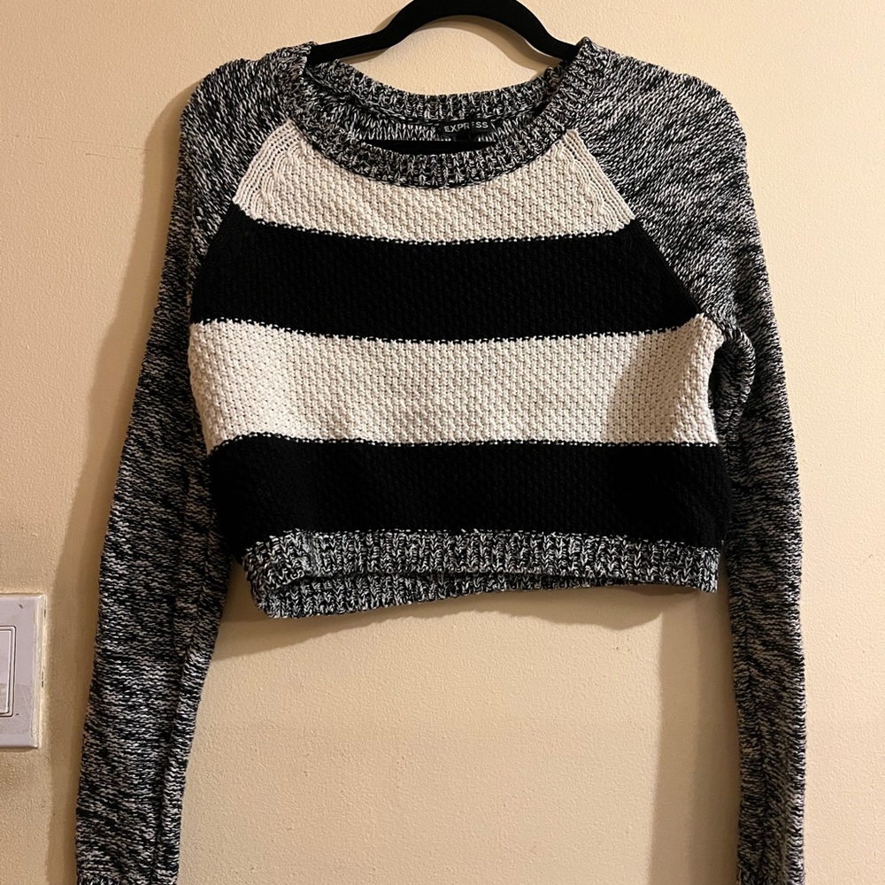 Express cropped striped sweater